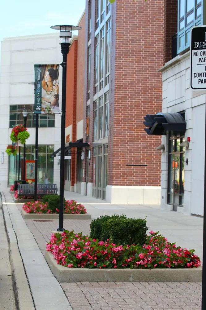 Trusted yard cleanup service with custom design in Grayslake, IL by Landscape Concepts Management