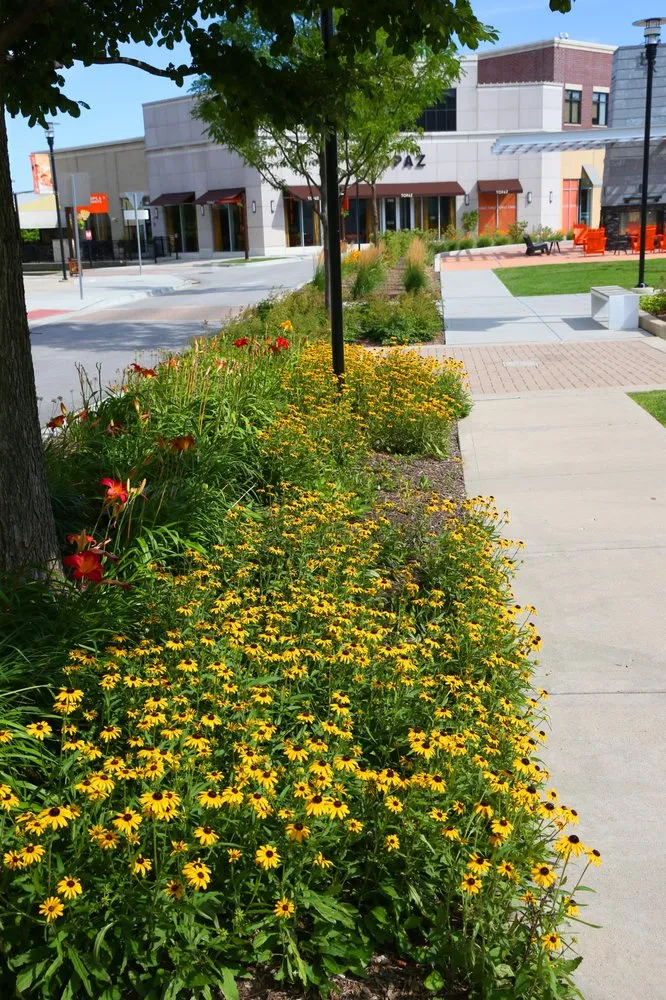 Custom yard cleanup service for year-round maintenance in Grayslake, IL by Landscape Concepts Management