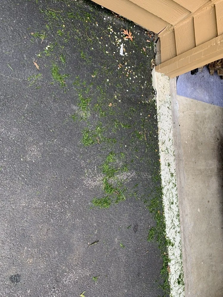 Local outdoor landscaping experts serving Grayslake, IL - Landscape Concepts Management