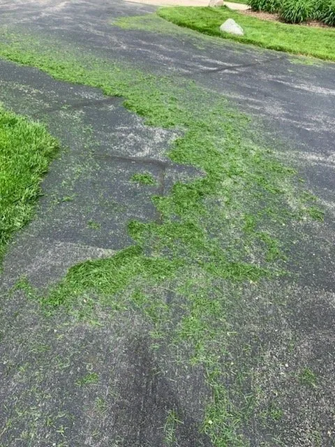 Top-rated landscape design in Grayslake, IL - Landscape Concepts Management