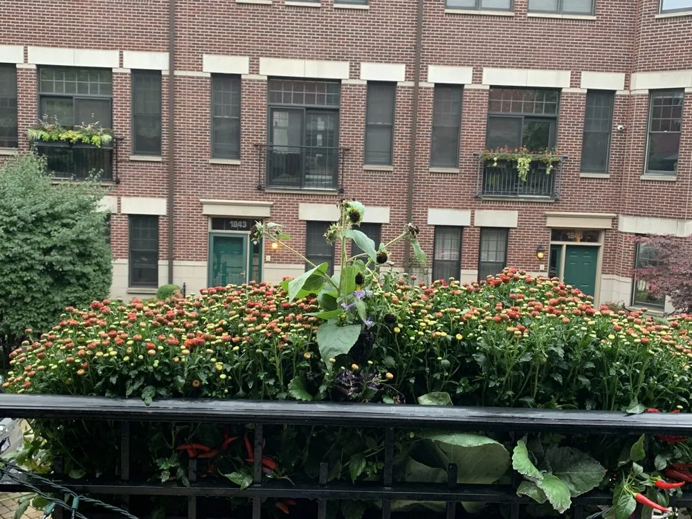 Affordable yard cleanup service in Grayslake, IL by Landscape Concepts Management