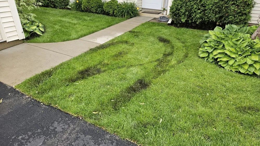 Professional lawn care service near you in Grayslake, IL by Landscape Concepts Management