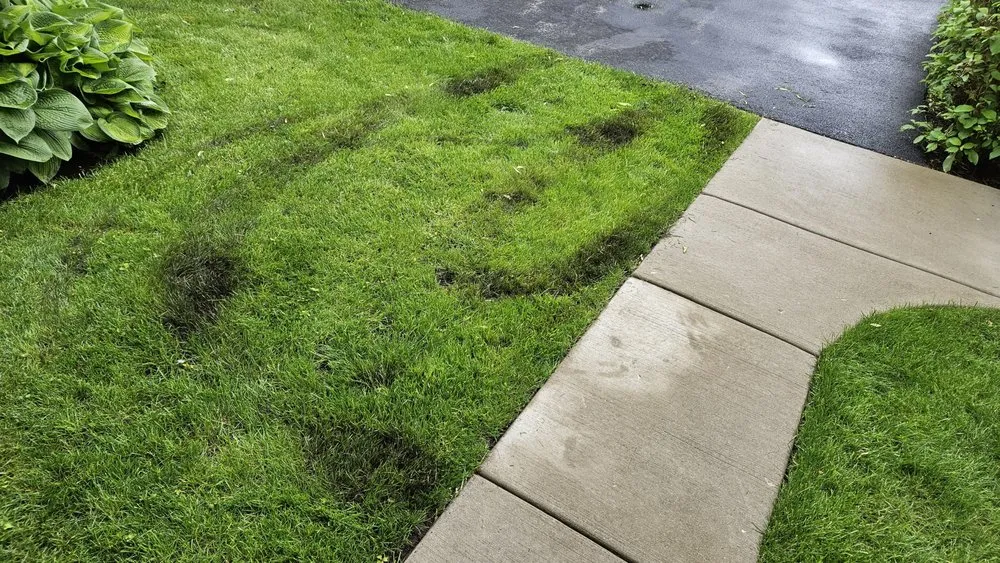 Trusted landscape design in Grayslake, IL by Landscape Concepts Management