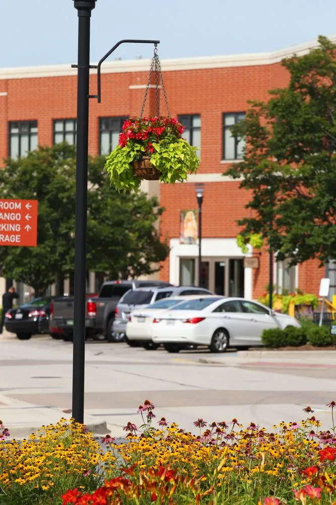 Affordable lawn mowing service experts serving Grayslake, IL - Landscape Concepts Management