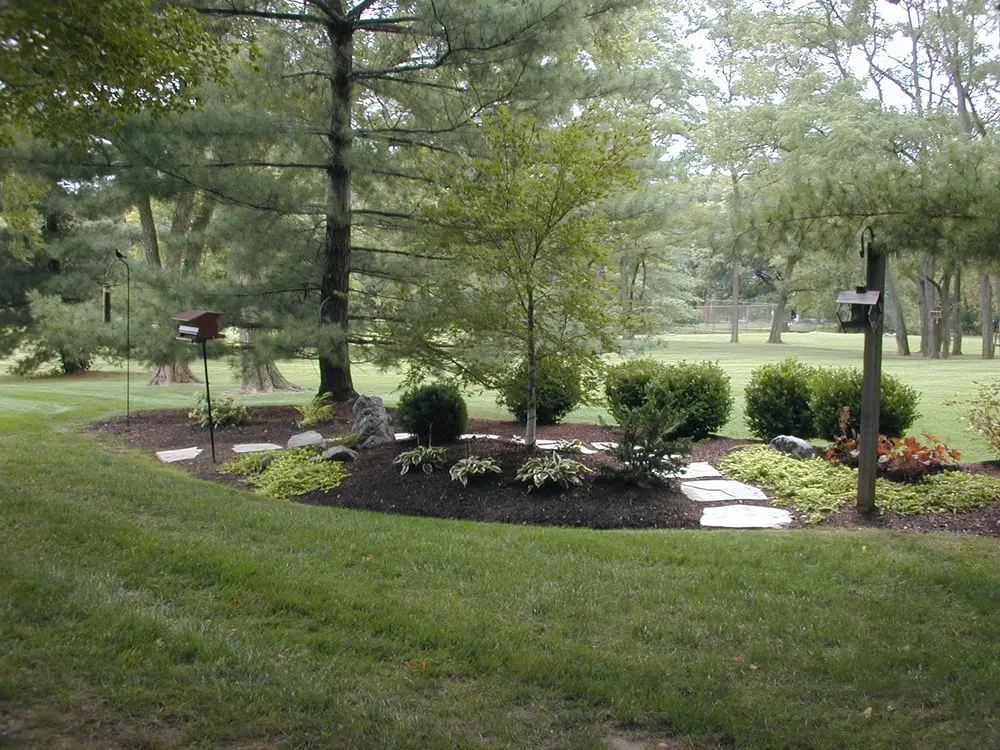 Trusted yard cleanup service for beautiful yards across St. Louis, MO - Landscape Concepts