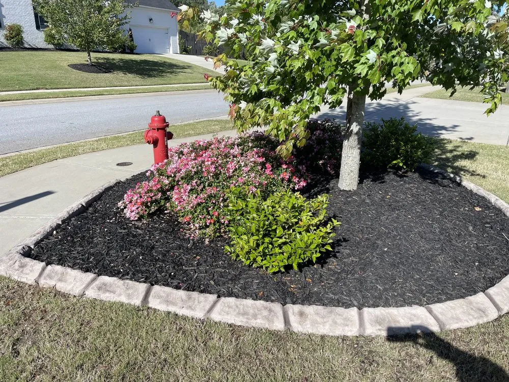 Affordable outdoor landscaping in Grovetown, GA by Landscape Concrete Curbing