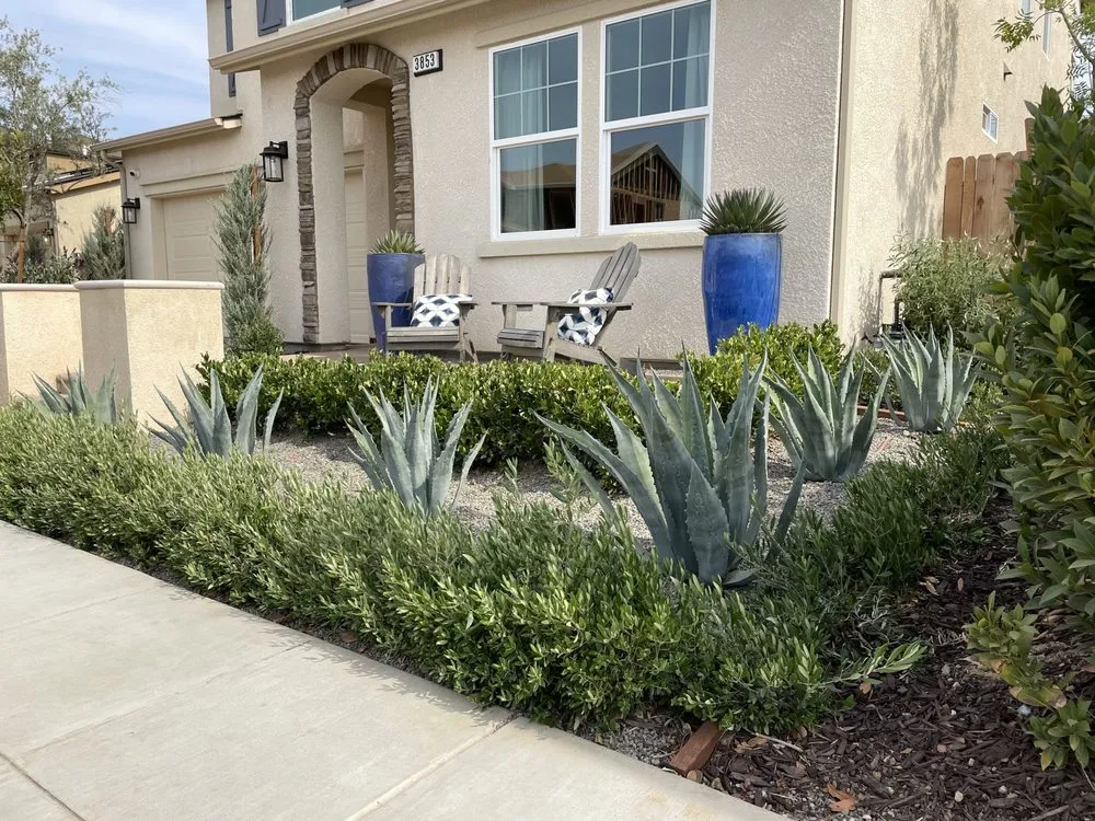 Trusted yard cleanup service in Clovis, CA - Landscape Connection