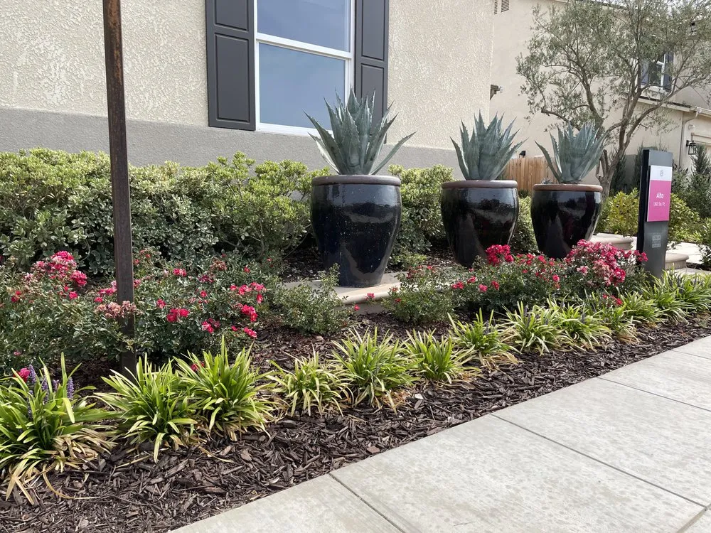 Professional landscaping services in Clovis, CA by Landscape Connection
