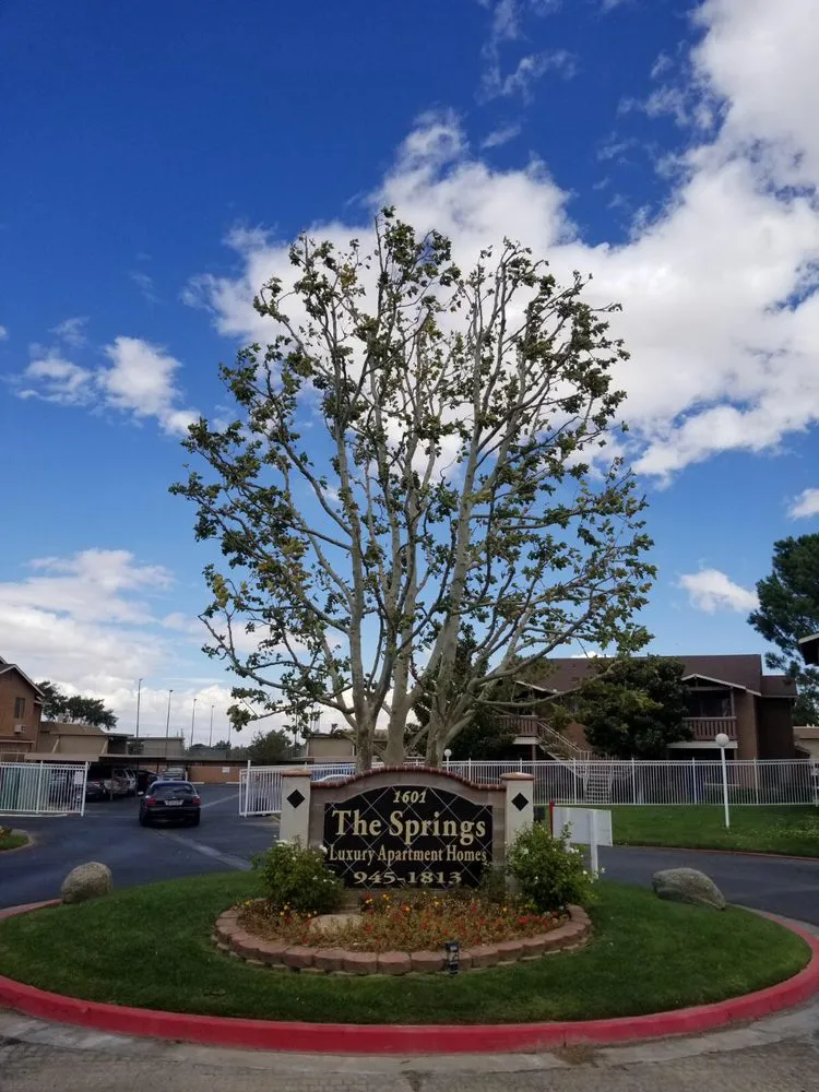 Expert landscape installation with custom design across Lancaster, CA - Landscape Connection Group