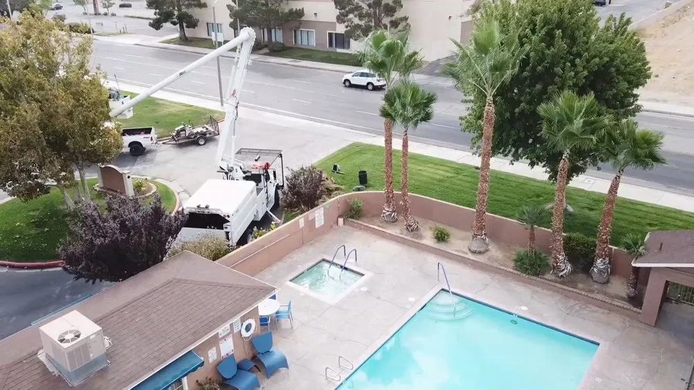 Trusted yard maintenance with custom design in Lancaster, CA by Landscape Connection Group