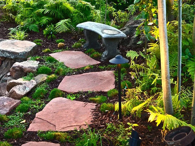 Professional lawn mowing service in Littleton, CO by Landscape Connection