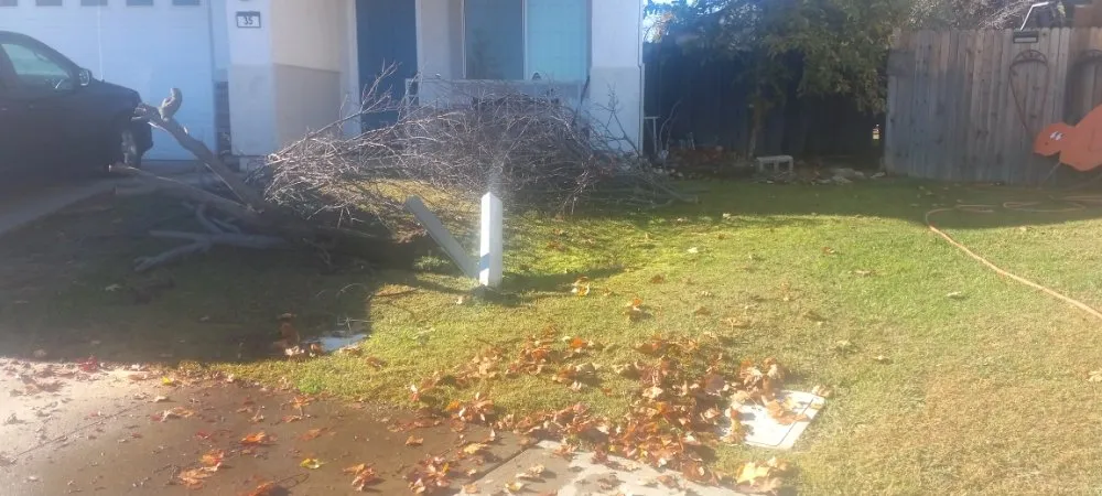 Expert lawn care service near you in North Highlands, CA by landscape construction 916