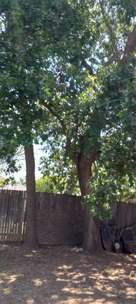 Reliable residential landscaping experts serving North Highlands, CA - landscape construction 916