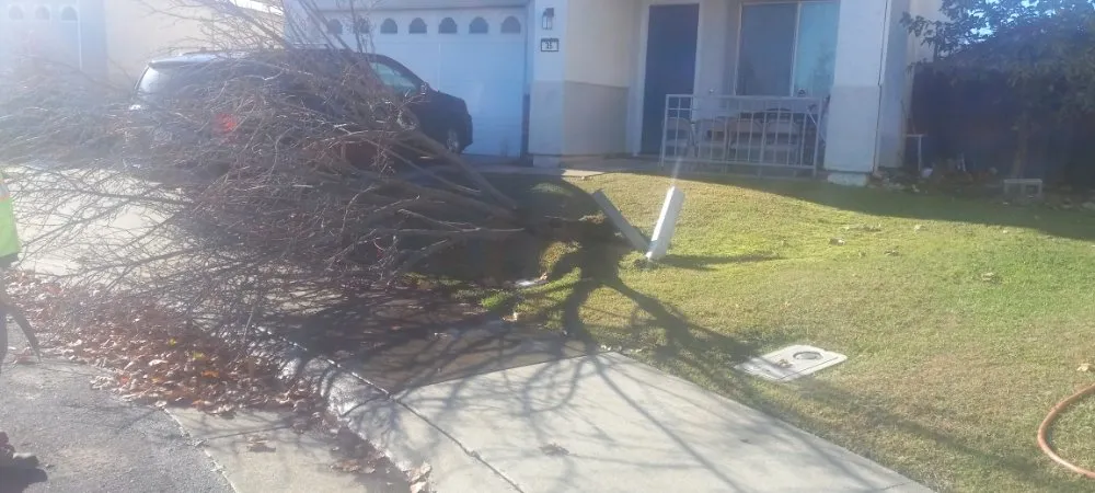 Local landscape installation for outdoor upgrades across North Highlands, CA - landscape construction 916