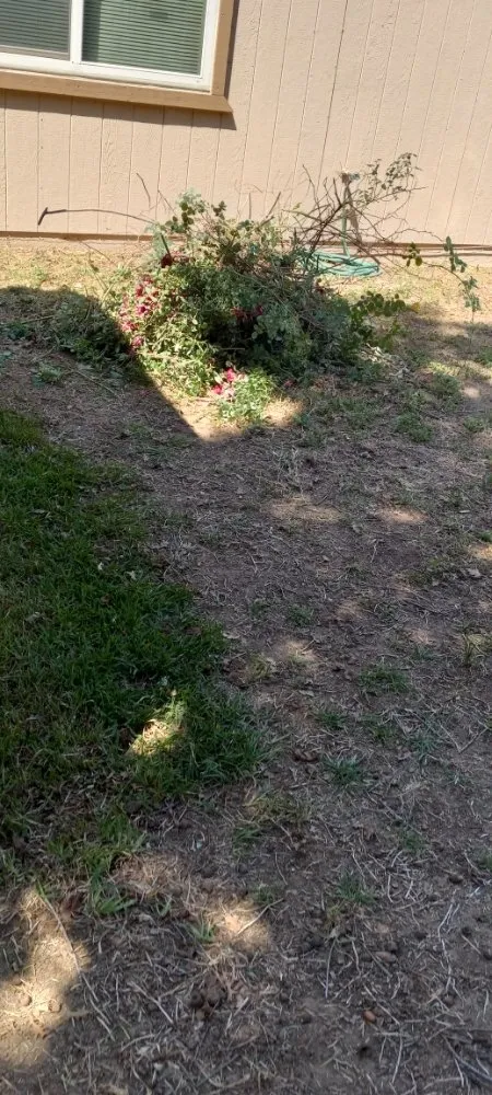 Local lawn care service for outdoor upgrades in North Highlands, CA by landscape construction 916