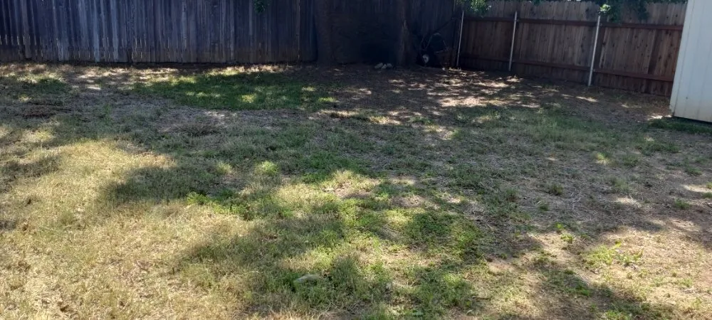 Professional garden landscaping in North Highlands, CA - landscape construction 916