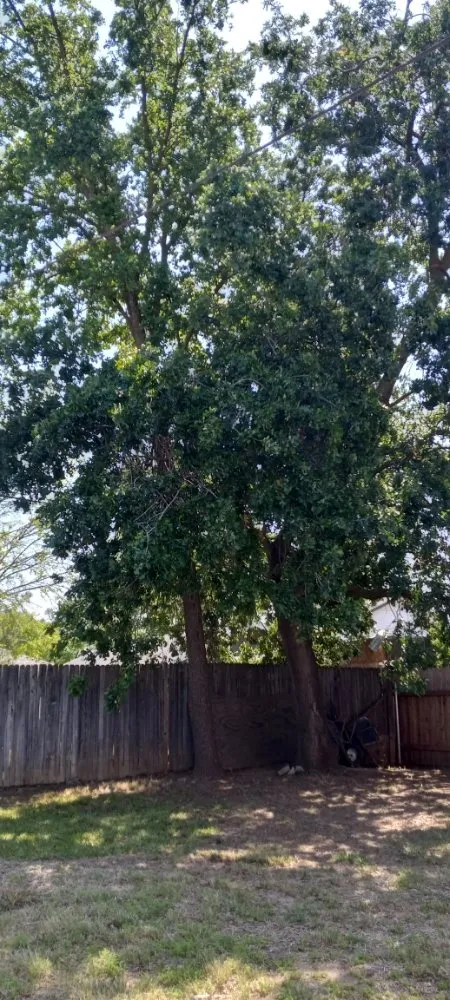 Reliable landscaping services experts serving North Highlands, CA - landscape construction 916