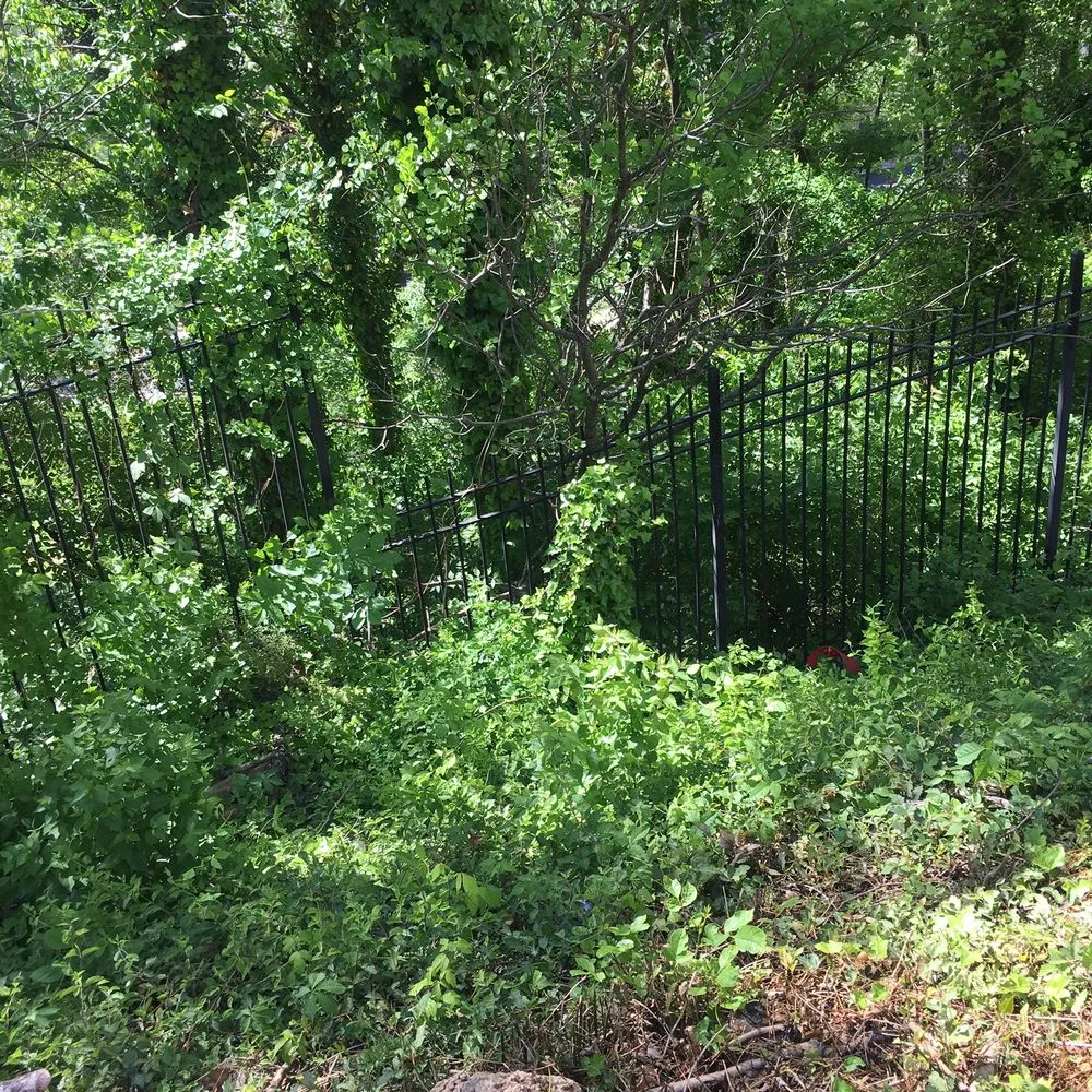 Top-rated landscaping services for residential properties across Springfield, VA - Landscape Construction Services