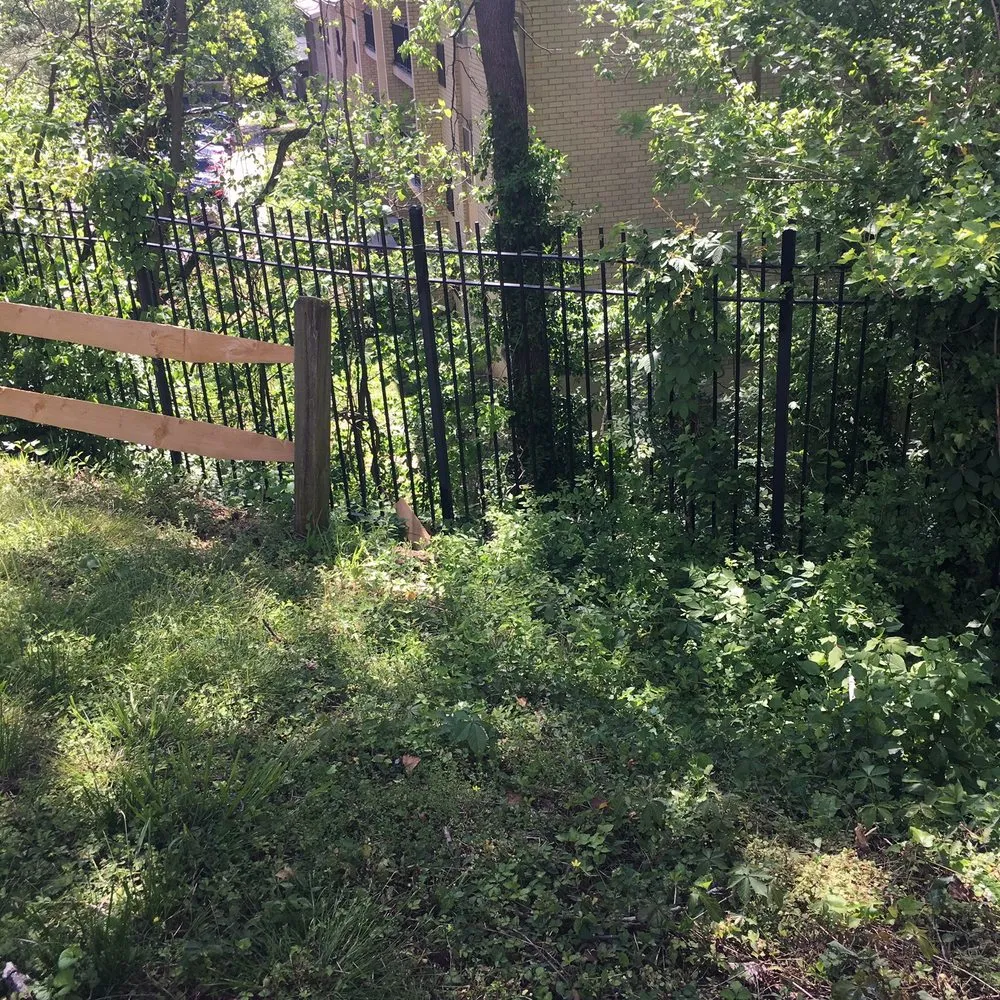 Local landscape installation for outdoor upgrades across Springfield, VA - Landscape Construction Services