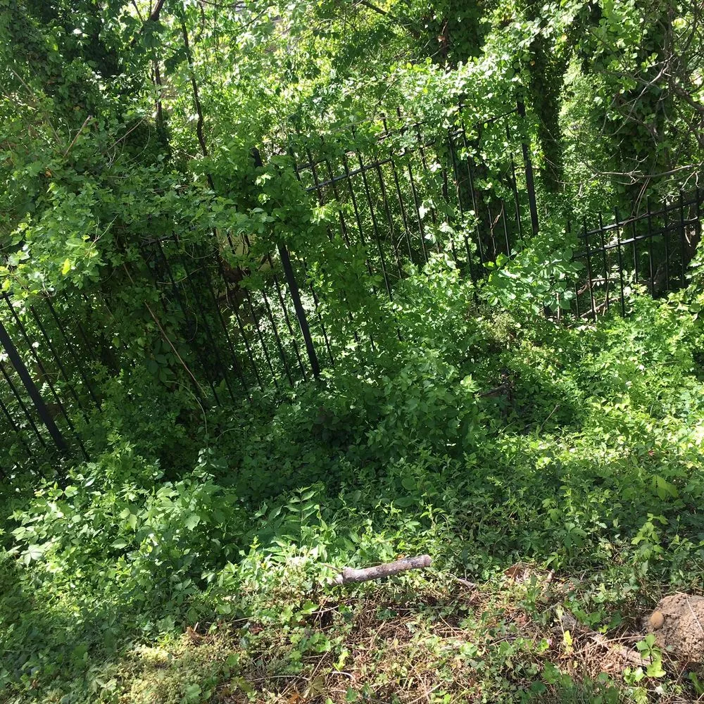 Reliable landscape installation experts serving Springfield, VA - Landscape Construction Services