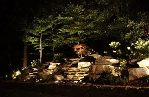 Expert residential landscaping for year-round maintenance in Springfield, VA by Landscape Construction Services