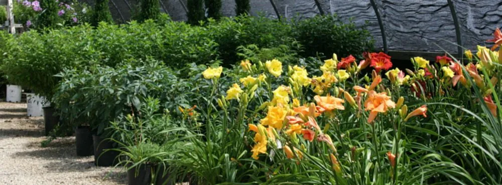 Affordable landscape installation for year-round maintenance across New Cambria, KS - Landscape Consultants