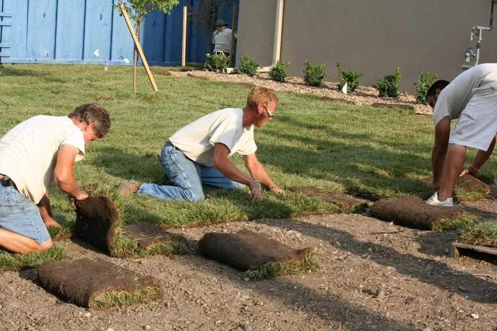 Top-rated landscape installation experts serving New Cambria, KS - Landscape Consultants