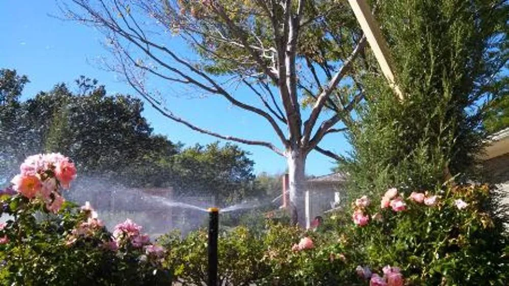 Professional yard maintenance experts serving New Cambria, KS - Landscape Consultants