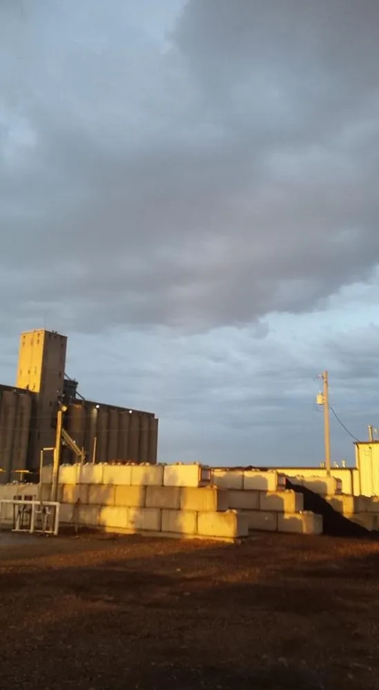 Affordable landscaping services experts serving New Cambria, KS - Landscape Consultants