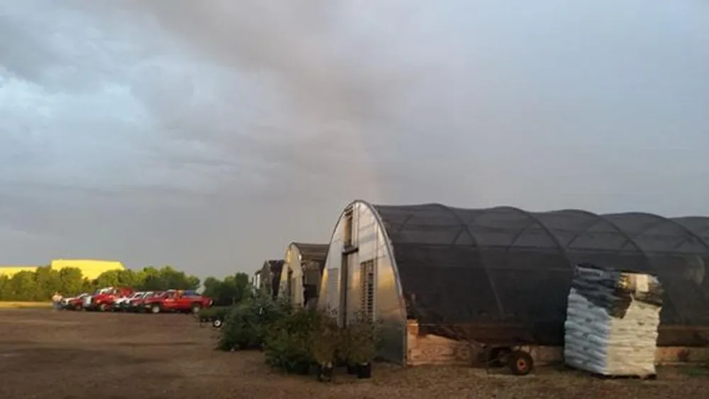 Reliable garden landscaping for beautiful yards across New Cambria, KS - Landscape Consultants