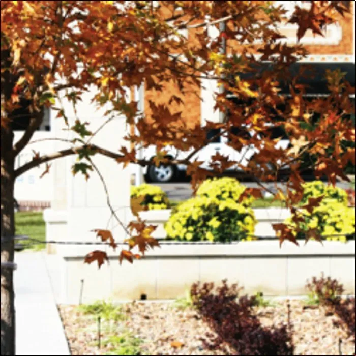 Top-rated garden landscaping in New Cambria, KS - Landscape Consultants