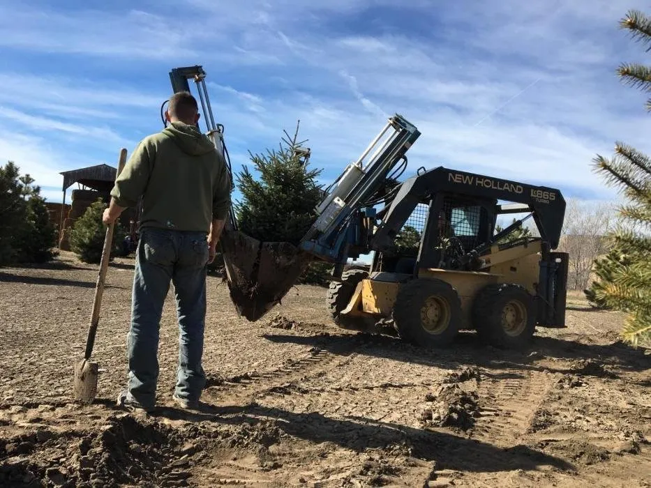 Trusted yard cleanup service in New Cambria, KS by Landscape Consultants