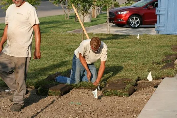 Landscape Consultants Logo