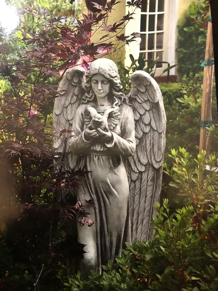 Local outdoor landscaping for outdoor upgrades in Mill Valley, CA by Landscape Consulting Service