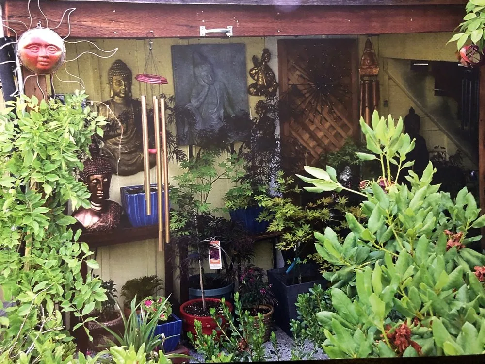 Top-rated landscape design in Mill Valley, CA - Landscape Consulting Service