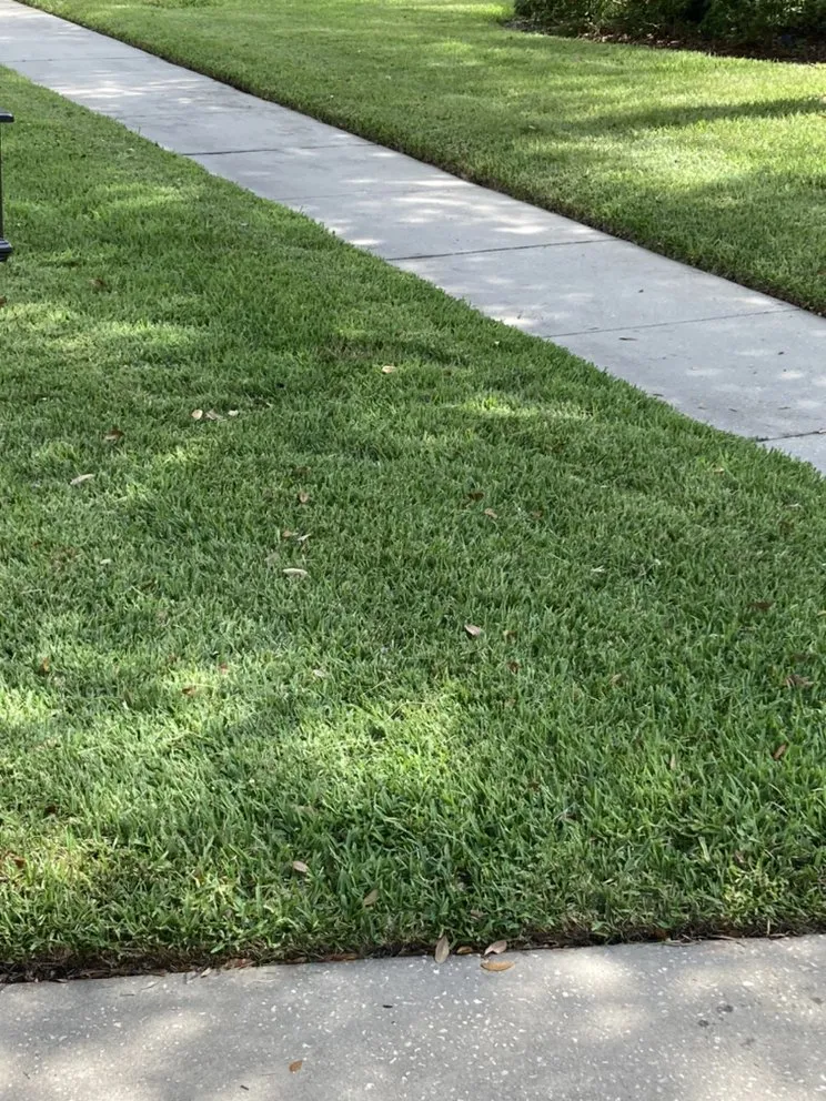 Reliable residential landscaping with custom design in Orlando, FL by Landscape Creations and Design