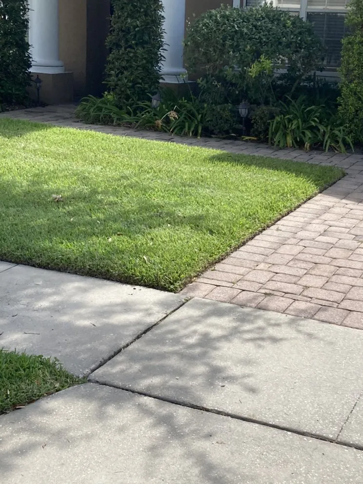 Professional landscape installation with custom design across Orlando, FL - Landscape Creations and Design