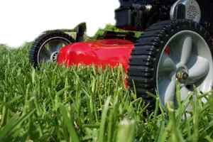 Custom yard cleanup service for outdoor upgrades in Calhoun, GA by Landscape Creations