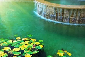 Expert yard maintenance in Calhoun, GA by Landscape Creations