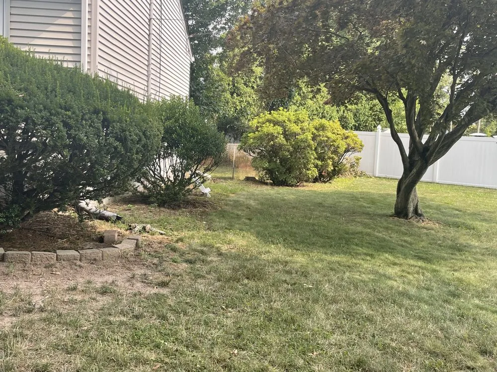 Professional lawn mowing service in Lodi, NJ by LandScape Creations