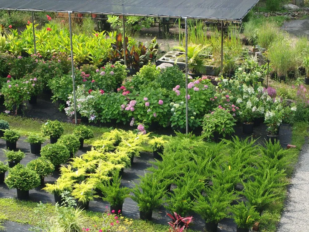 Top-rated residential landscaping experts serving Chesterland, OH - Landscape Creations Nursery