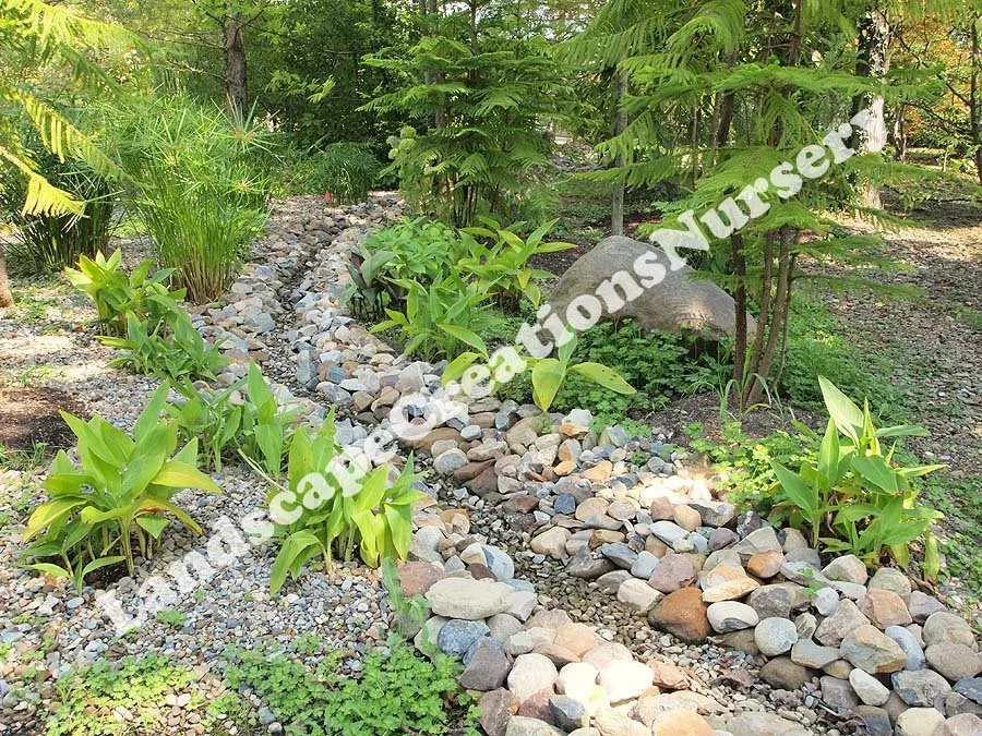 Reliable garden landscaping experts serving Chesterland, OH - Landscape Creations Nursery