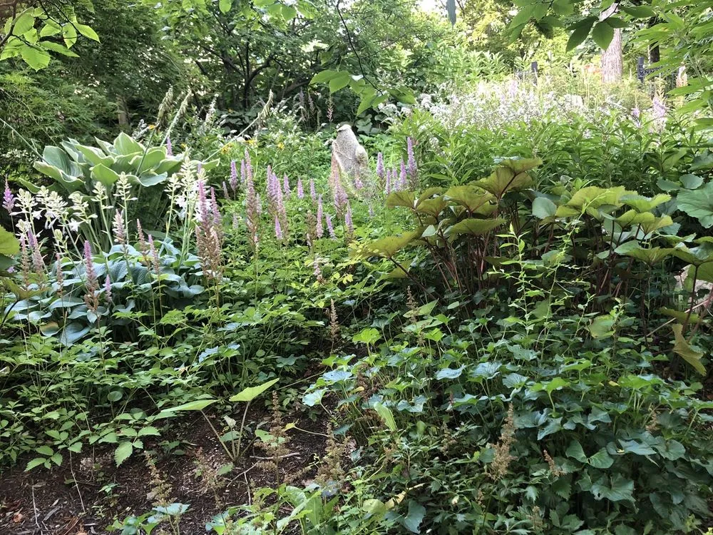 Custom lawn care service in Chesterland, OH - Landscape Creations Nursery