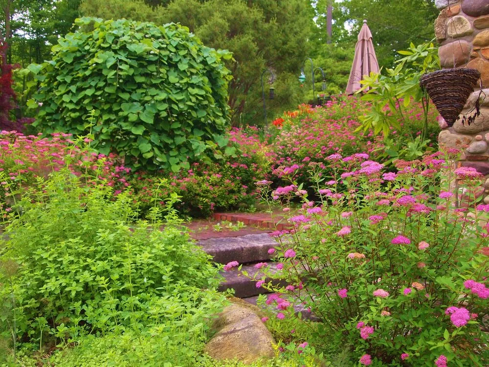 Custom outdoor landscaping for residential properties in Chesterland, OH by Landscape Creations Nursery