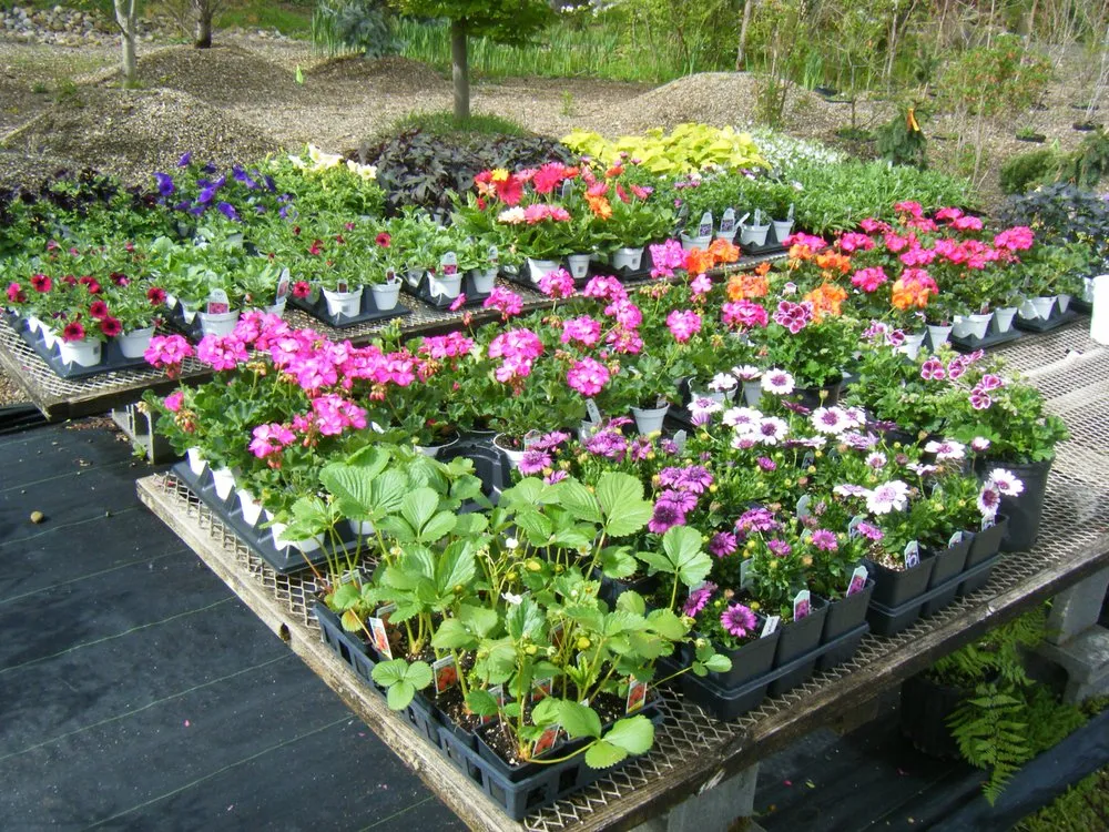 Professional yard cleanup service experts serving Chesterland, OH - Landscape Creations Nursery