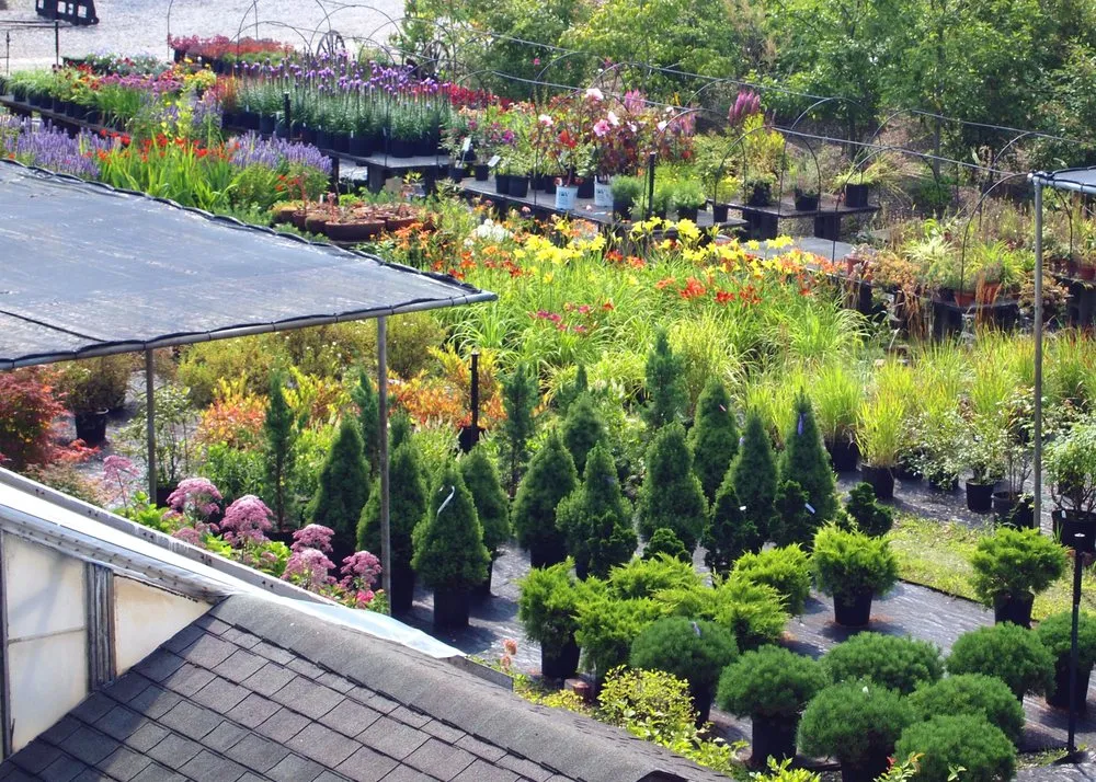 Trusted yard cleanup service in Chesterland, OH by Landscape Creations Nursery