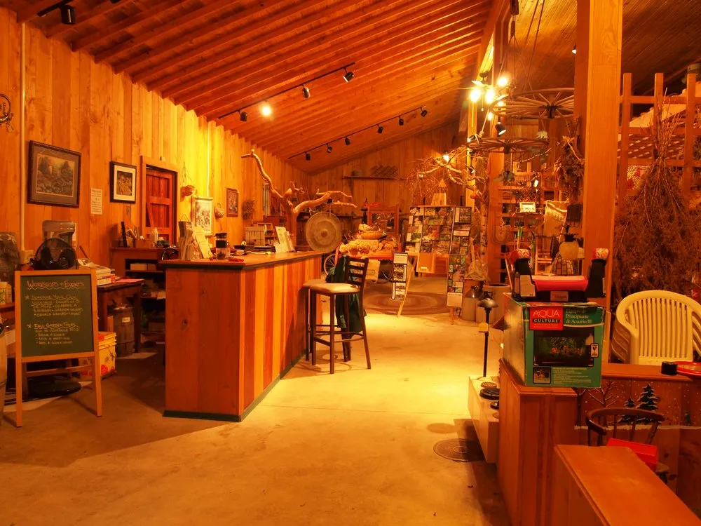 Professional yard cleanup service for homes across Chesterland, OH - Landscape Creations Nursery