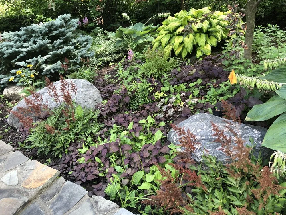 Professional residential landscaping in Chesterland, OH by Landscape Creations Nursery