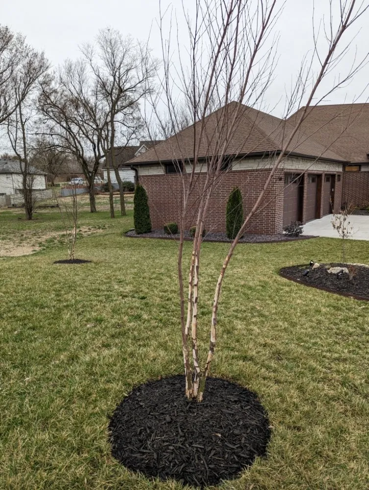 Affordable landscape design in Springfield, MO - Landscape Creations