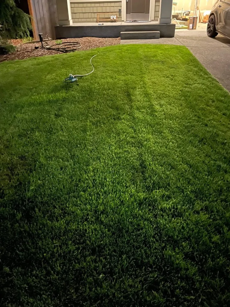 Custom yard maintenance for year-round maintenance across Federal Way, WA - Landscape Cultivators